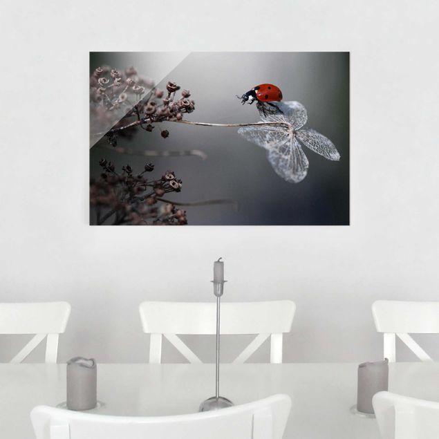 Glas Magnettafel Ladybird On Hydrangea