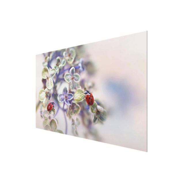 Glasschilderijen Ladybird In The Garden