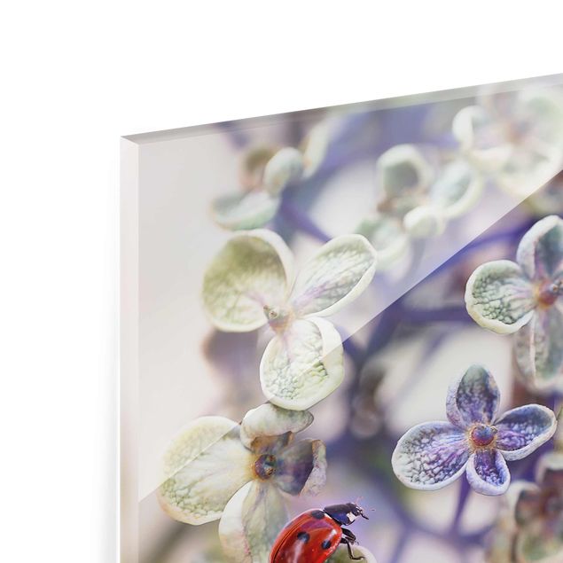 Glasschilderijen Ladybird In The Garden