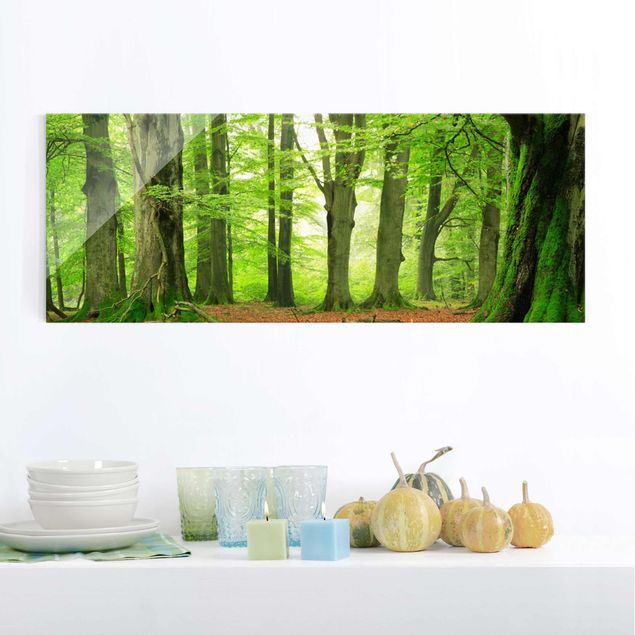 Magnettafel Glas Mighty Beech Trees