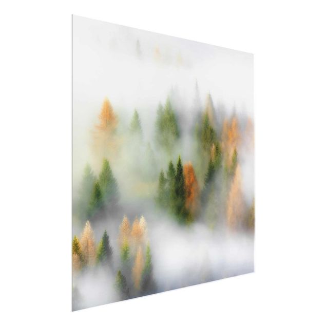 Glasschilderijen Cloud Forest In Autumn