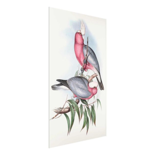 Glasschilderijen Pastel Parrots II