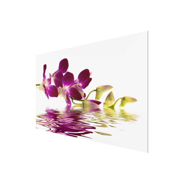 Glasschilderijen Pink Orchid Waters