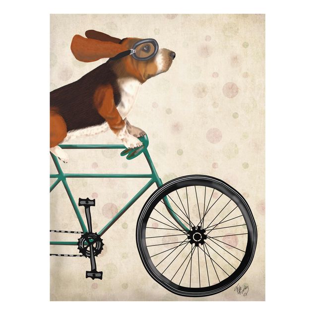 Glasschilderijen Cycling - Basset On Bike