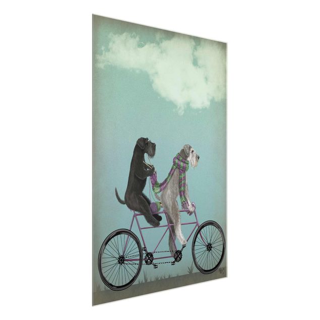 Glasschilderijen Cycling - Schnauzer Tandem