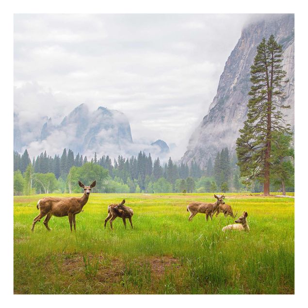 Glasschilderijen Deer In The Mountains