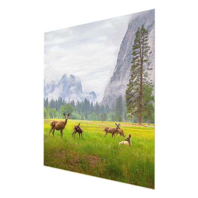 Glasschilderijen Deer In The Mountains