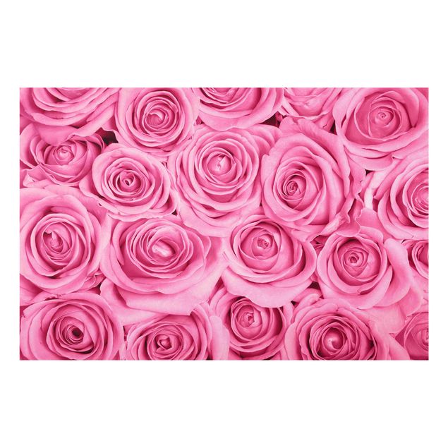 Glasschilderijen Pink Roses