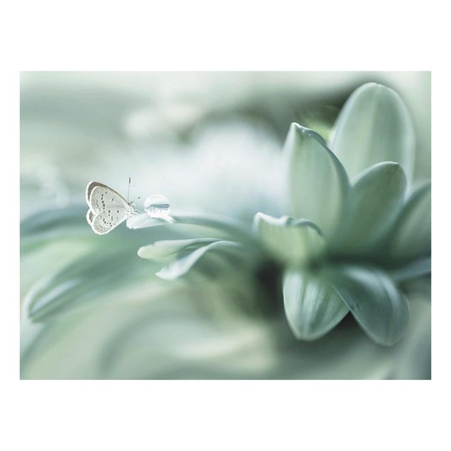 Glasschilderijen Butterfly And Dew Drops In Pastel Green