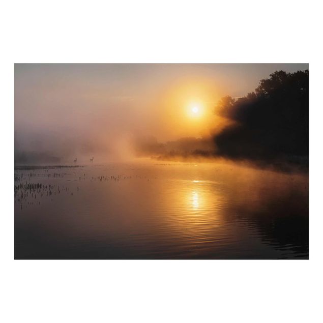 Glasschilderijen Sunrise on the lake with deers in the fog