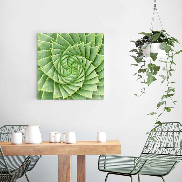 Glasschilderijen Spiral Aloe