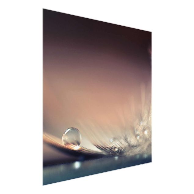 Glasschilderijen Story of a Waterdrop