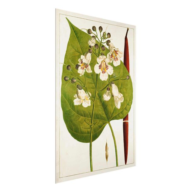 Glasschilderijen Tableau Leaf Flower Fruit V