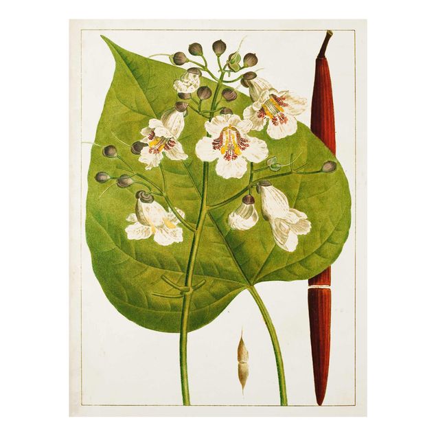 Glasschilderijen Tableau Leaf Flower Fruit V