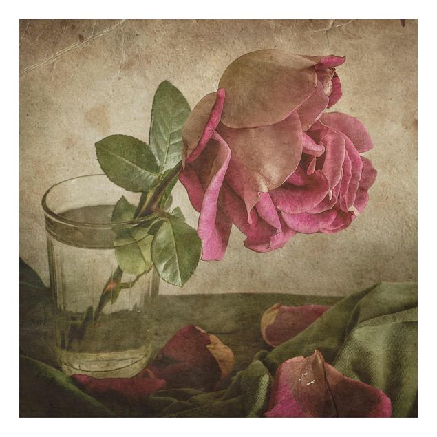 Glasschilderijen Tear Of A Rose