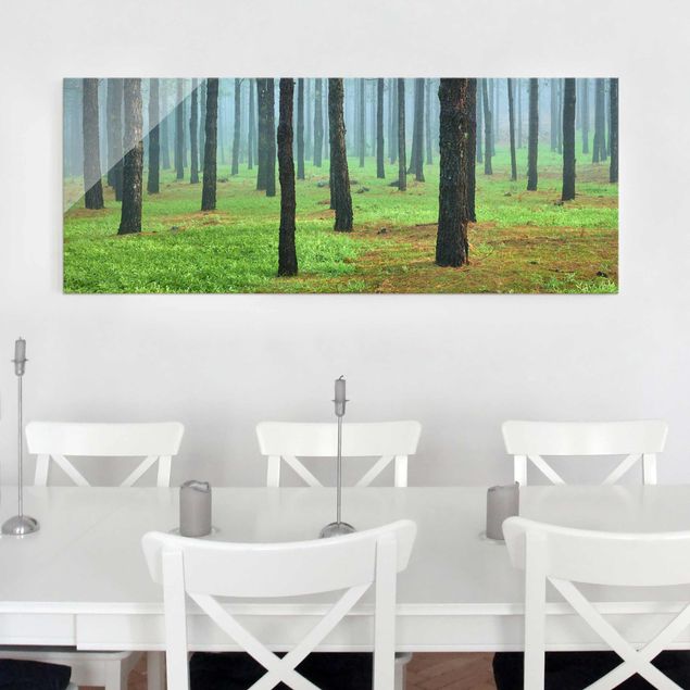 Magnettafel Glas Deep Forest With Pine Trees On La Palma