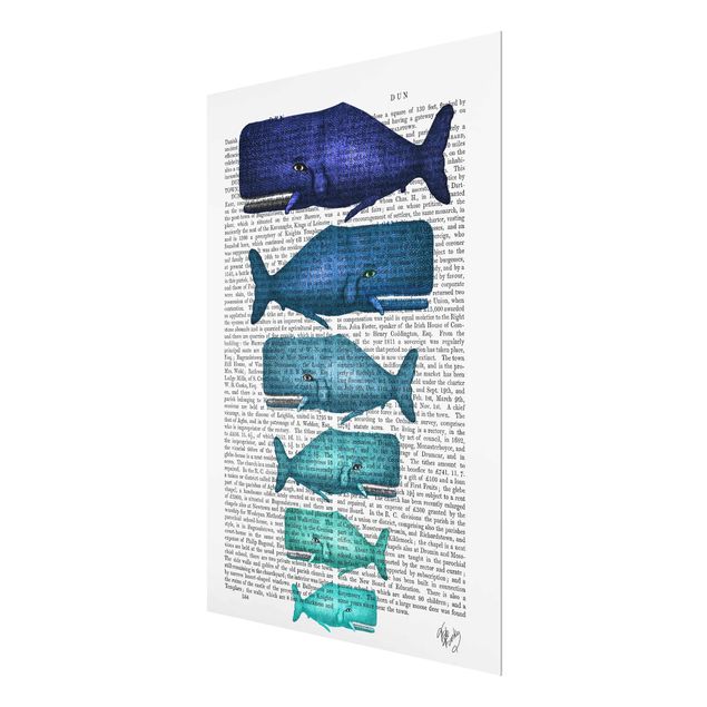 Glasschilderijen Animal Reading - Whale Family