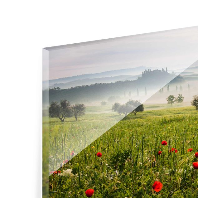 Glasschilderijen Tuscan Spring