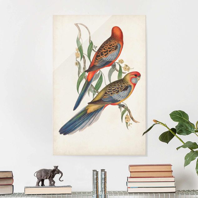 Glasschilderijen Tropical Parrot II