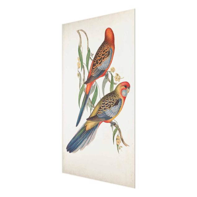 Glasschilderijen Tropical Parrot II