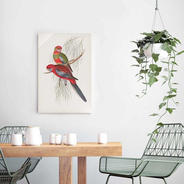 Glasschilderijen Tropical Parrot III