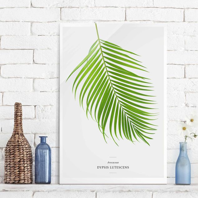 Glas Magnetboard Tropical Leaf Areca Palm