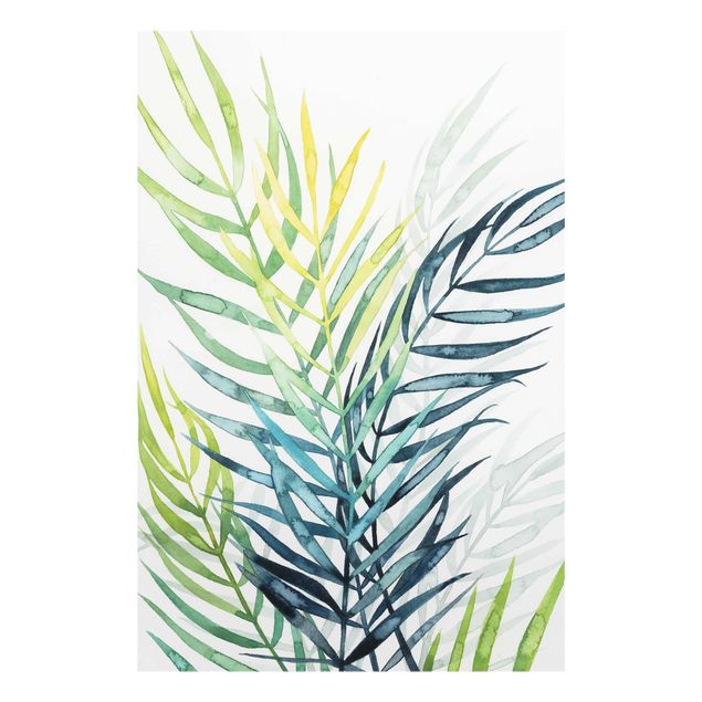 Glasschilderijen Tropical Foliage - Palme