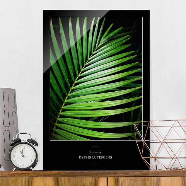 Glas Magnetboard Tropical Palm Leaf
