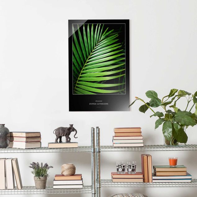 Glasschilderijen Tropical Palm Leaf