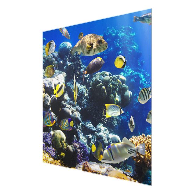 Glasschilderijen Underwater Reef