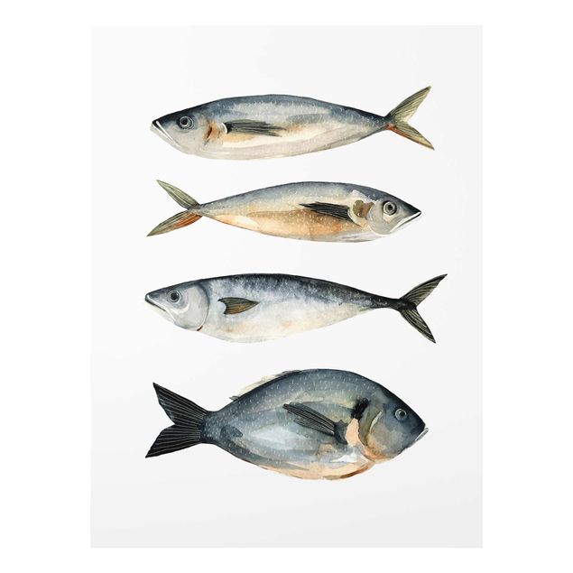 Glasschilderijen Four Fish In Watercolour I