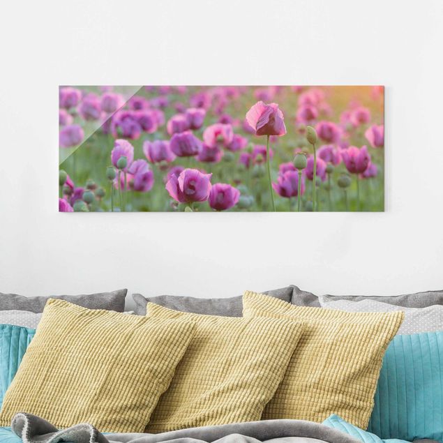 Glasschilderijen Purple Poppy Flower Meadow In Spring