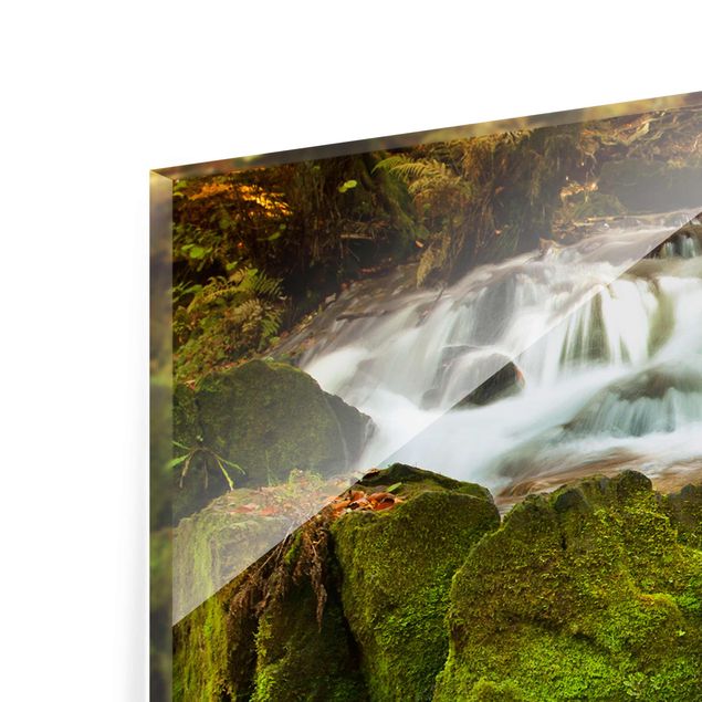 Glasschilderijen Waterfall Autumnal Forest