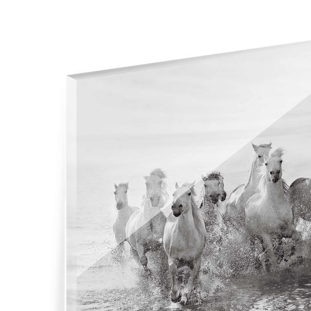 Glasschilderijen White Horses In The Ocean