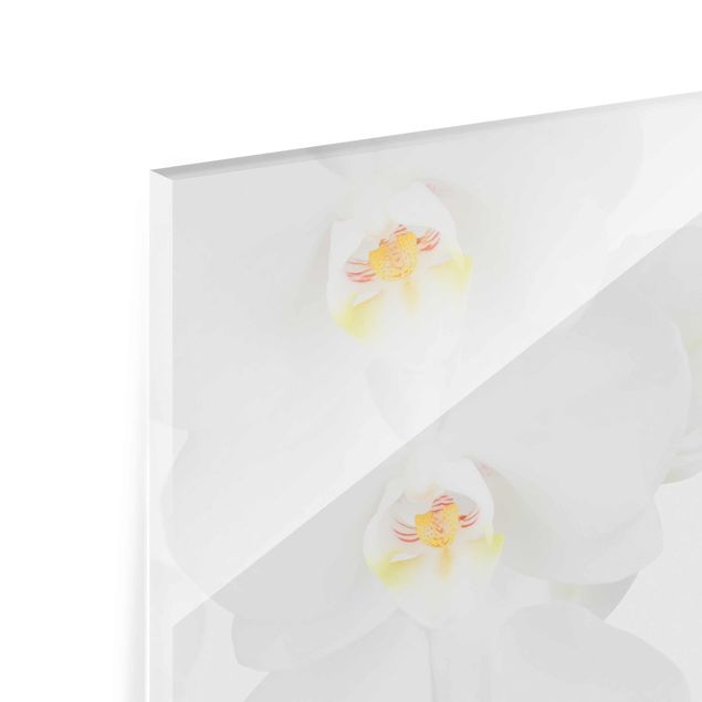 Glasschilderijen Spa Orchid - White Orchid
