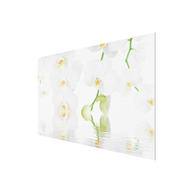 Glasschilderijen Spa Orchid - White Orchid