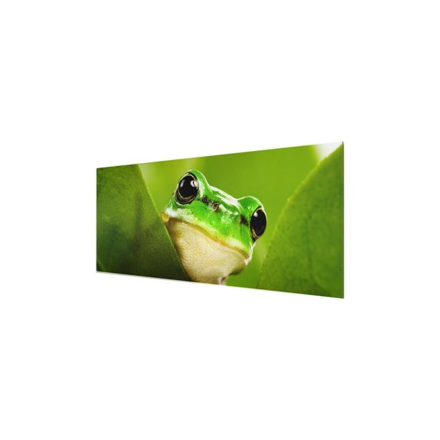 Glasschilderijen Frog