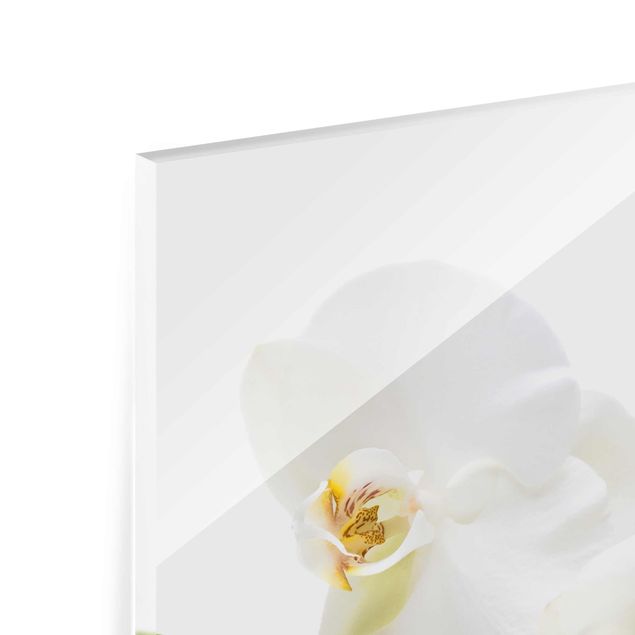 Glasschilderijen White Orchid Waters