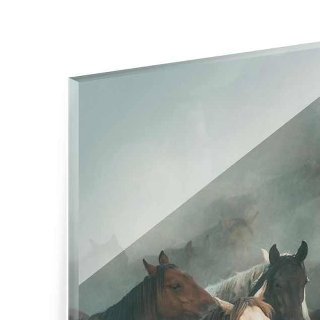 Glasschilderijen Wild Horses