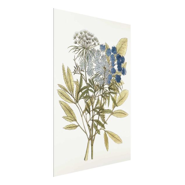Glasschilderijen Wild Herbs Board I