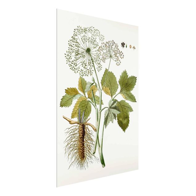 Glasschilderijen Wild Herbs Board IV