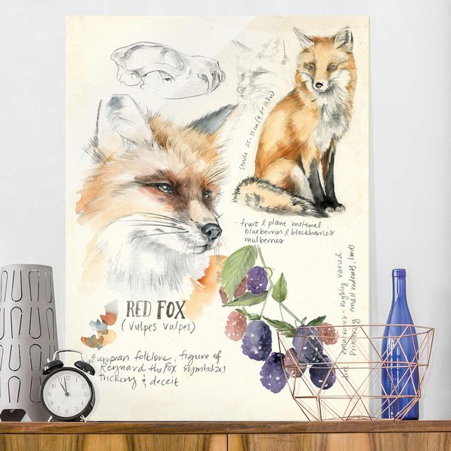 Glasschilderijen Wilderness Journal - Fox