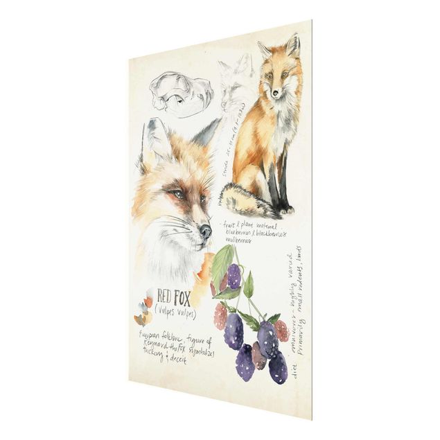 Glasschilderijen Wilderness Journal - Fox