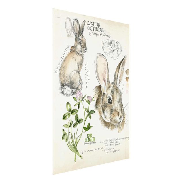Glasschilderijen Wilderness Journal - Rabbit