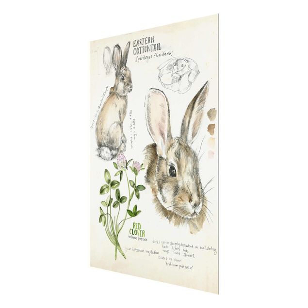 Glasschilderijen Wilderness Journal - Rabbit