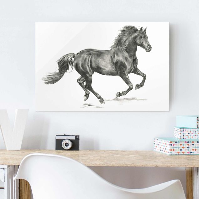 Glasschilderijen Wild Horse Trial - Stallion