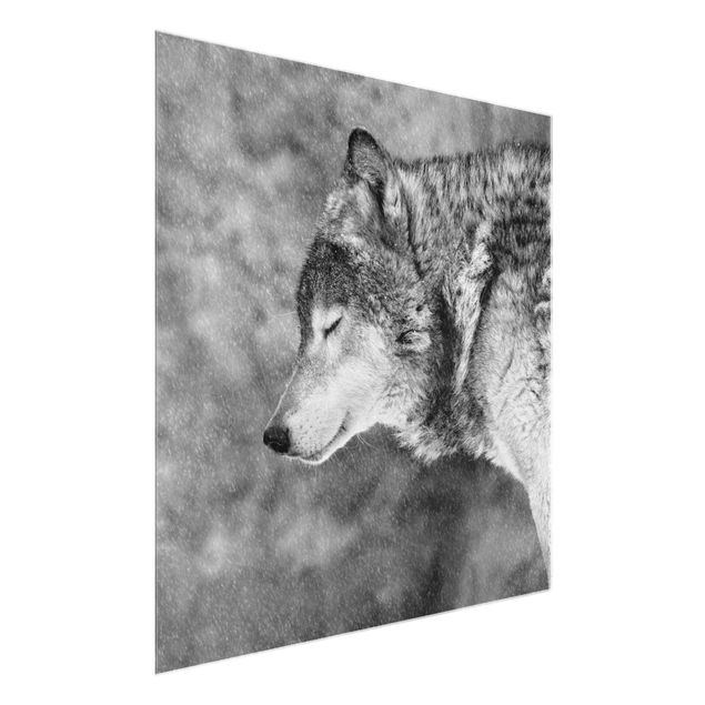 Glasschilderijen Winter Wolf