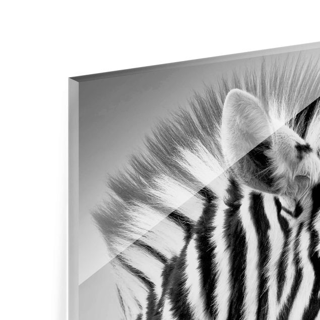 Glasschilderijen Zebra Baby Portrait II