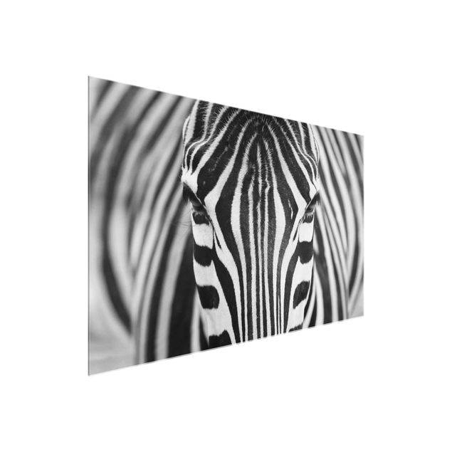 Glasschilderijen Zebra Look