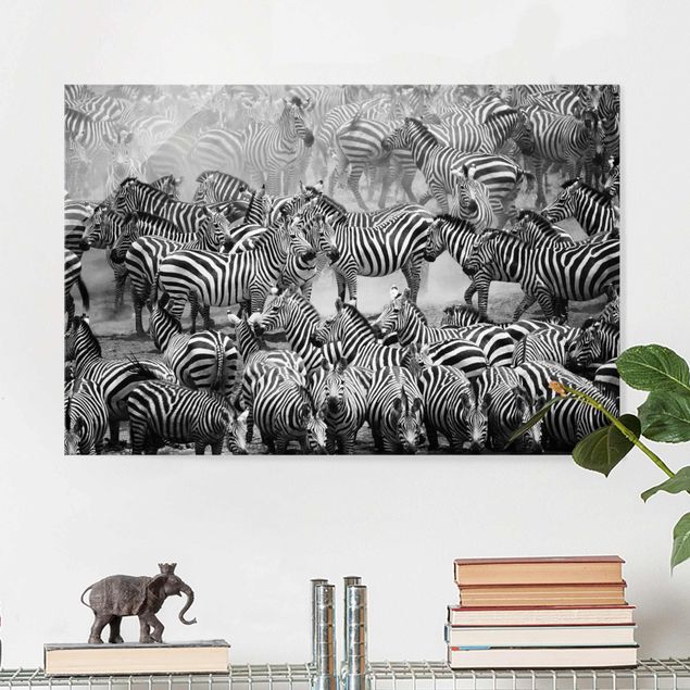 Glasschilderijen Zebra herd II